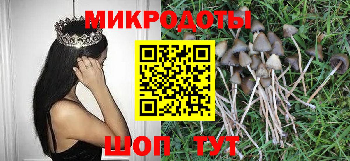 Лениногорск  Псилоцибиновые грибы прущие грибы  Вход с VPN 